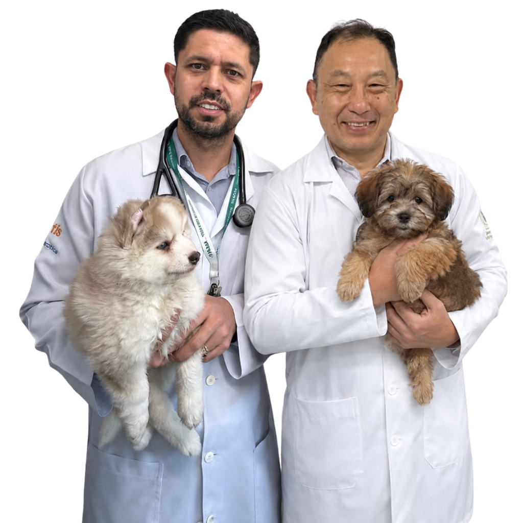 Veterinários da Clínica Mundo Animal em Vargem Grande Paulista