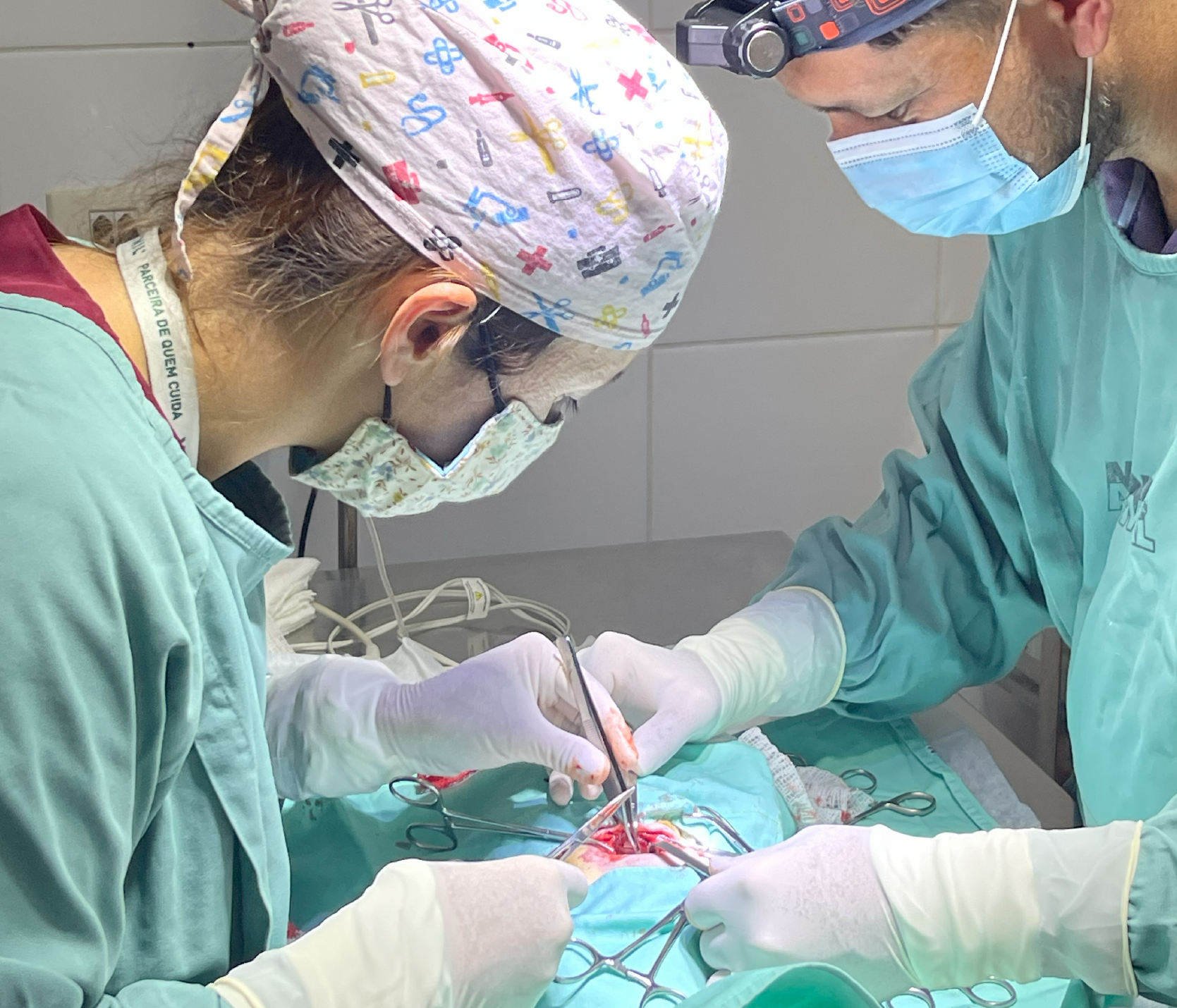 Cirurgia veterinária em Vargem Grande Paulista